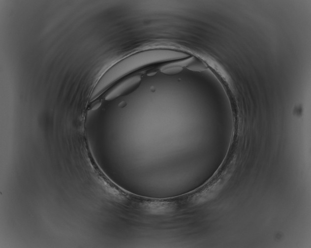 X0000091710953200708241243