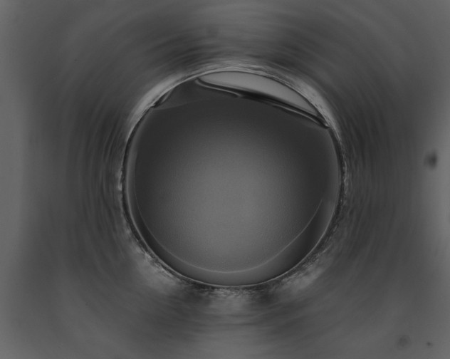 X0000091710954200708241243