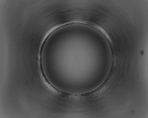 X0000091710955200708241243
