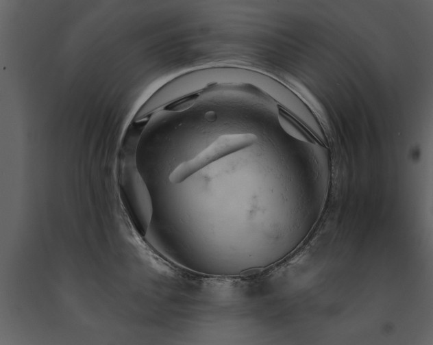 X0000091710956200708241243