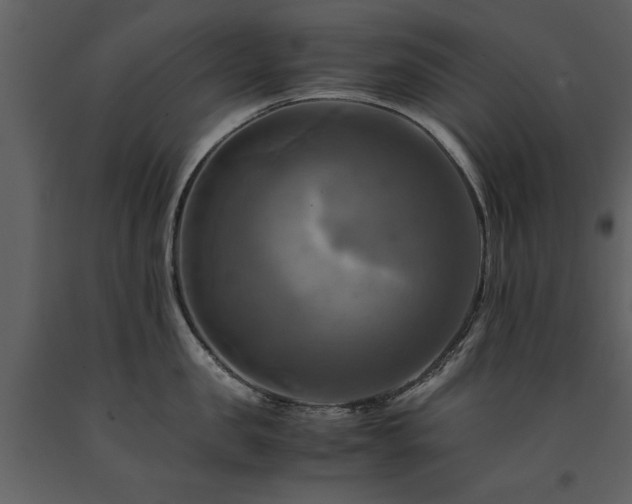 X0000091710957200708241243