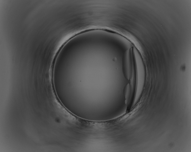 X0000091710958200708241243