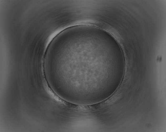 X0000091710960200708241243