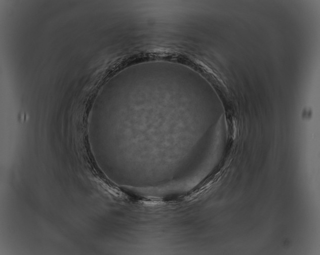 X0000091710961200708241243