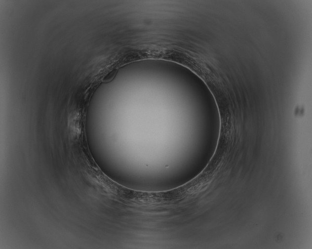 X0000091710962200708241243
