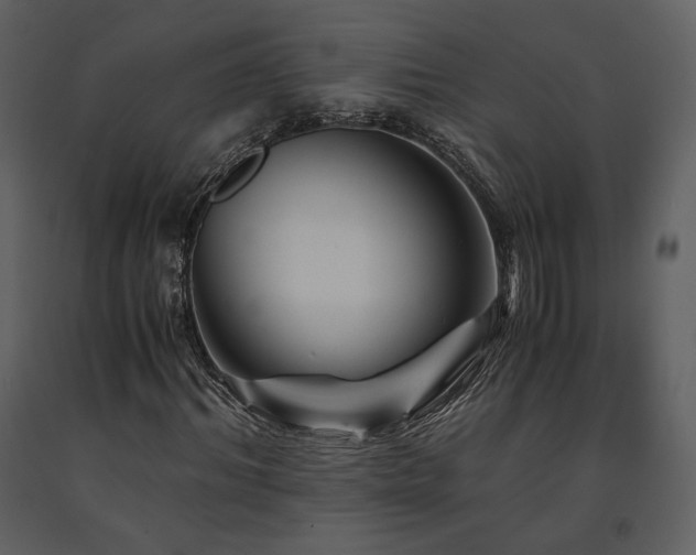 X0000091710964200708241243