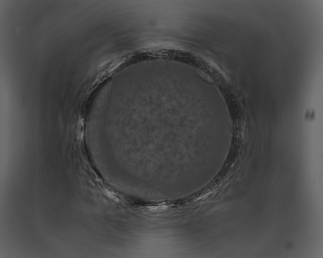 X0000091710965200708241243