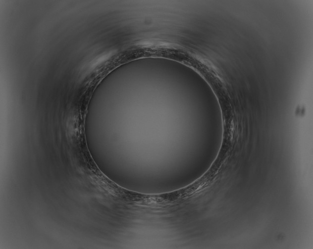 X0000091710966200708241243