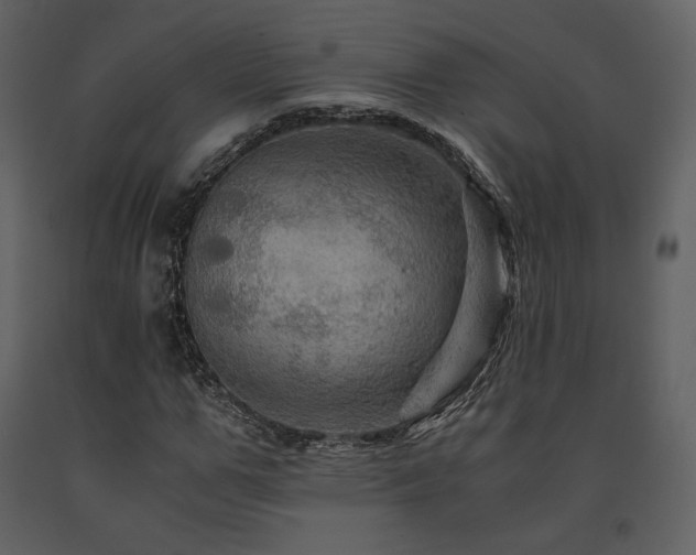 X0000091710967200708241243