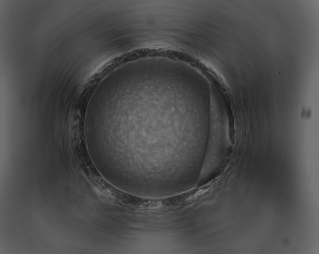 X0000091710968200708241243