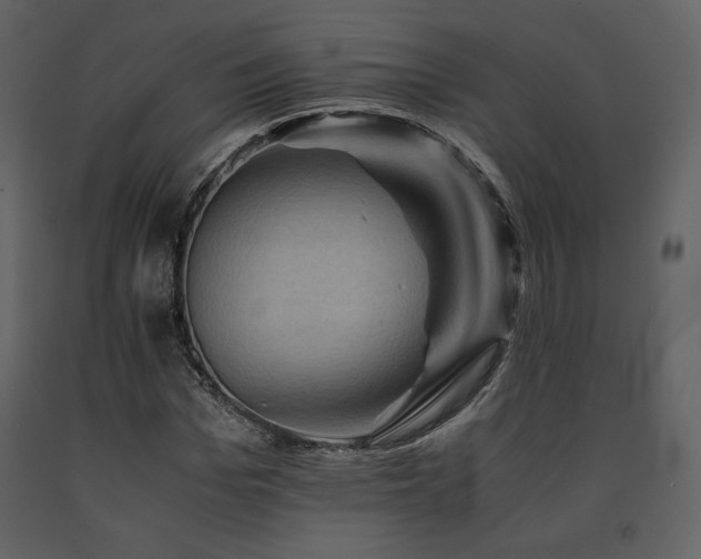 X0000091710969200708241243