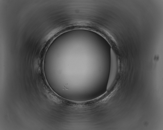 X0000091710970200708241243