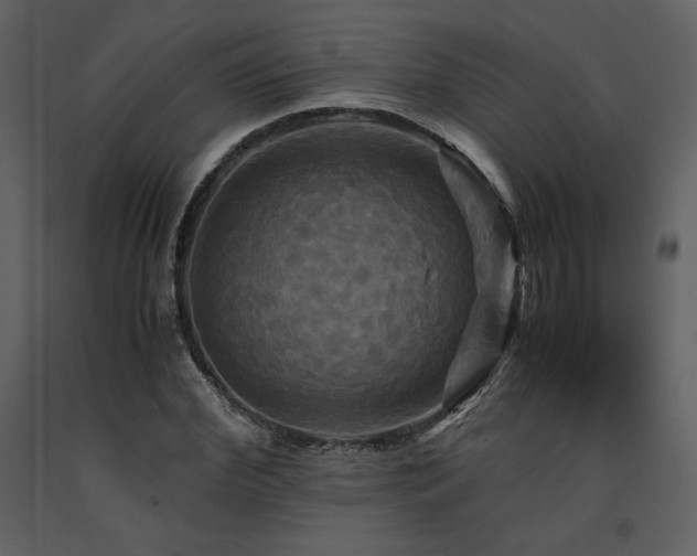 X0000091710972200708241243