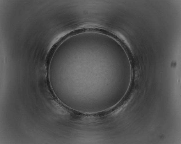 X0000091710973200708241243