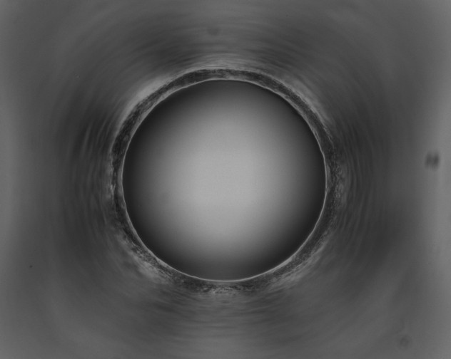 X0000091710974200708241243