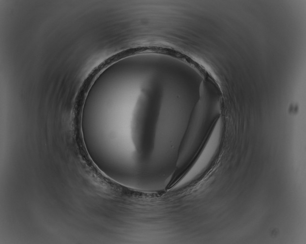 X0000091710975200708241243