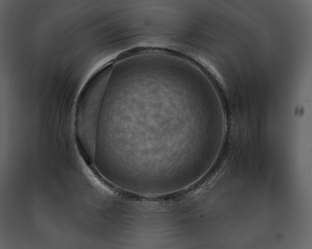 X0000091710976200708241243