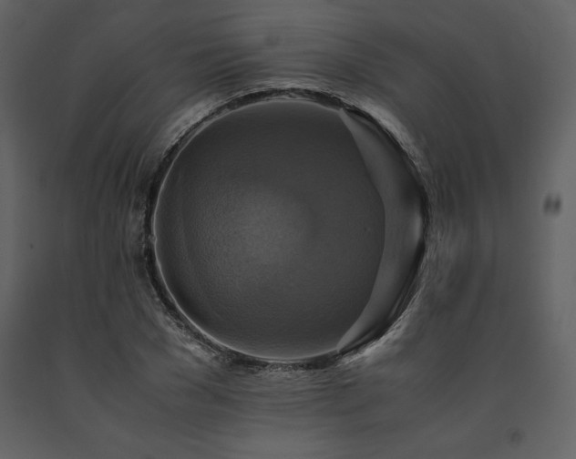 X0000091710977200708241243