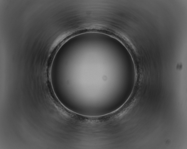X0000091710978200708241243