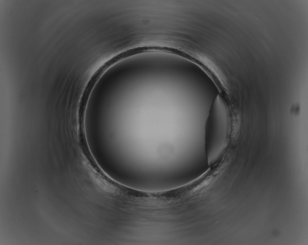 X0000091710980200708241243