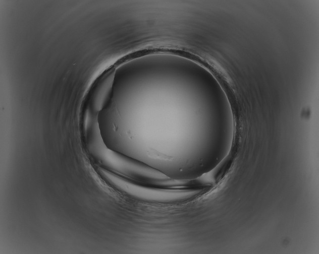 X0000091710981200708241243