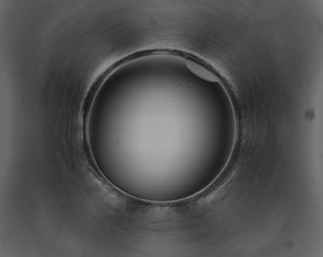 X0000091710982200708241243