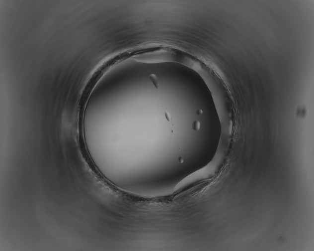X0000091710984200708241242