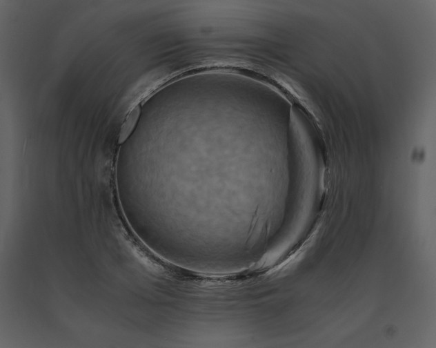 X0000091710985200708241242