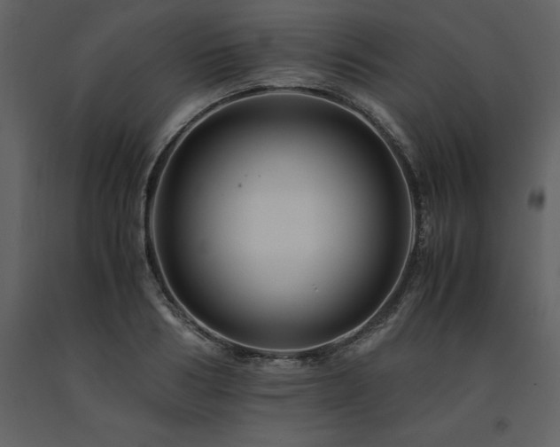 X0000091710986200708241242