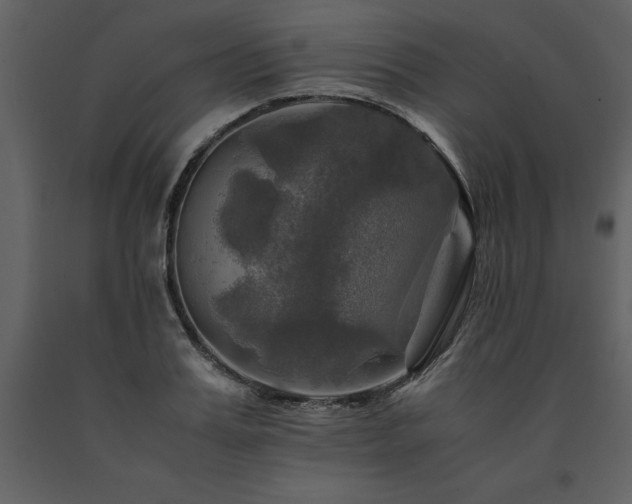 X0000091710987200708241242