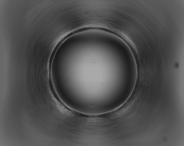 X0000091710988200708241242