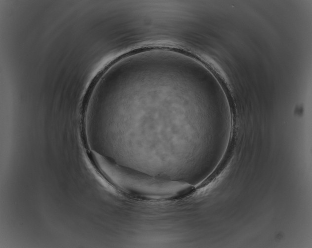 X0000091710989200708241242