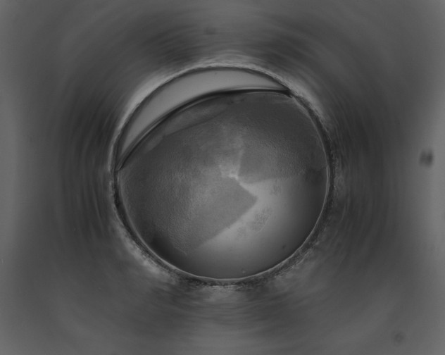 X0000091710990200708241242