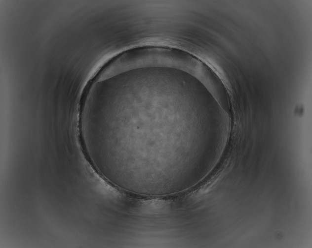 X0000091710992200708241242