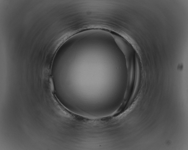 X0000091710993200708241242