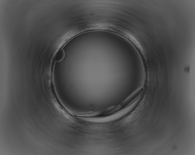 X0000091710994200708241242