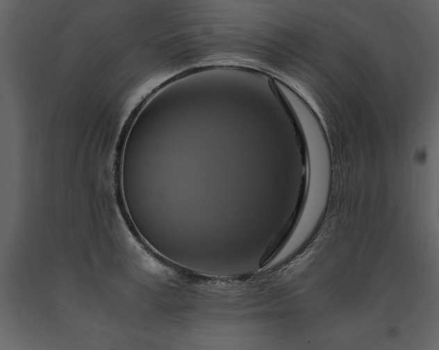 X0000091710995200708241242