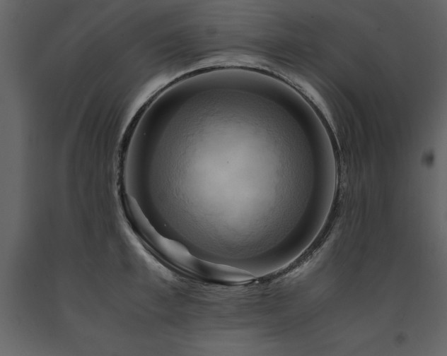 X0000091710997200708241242