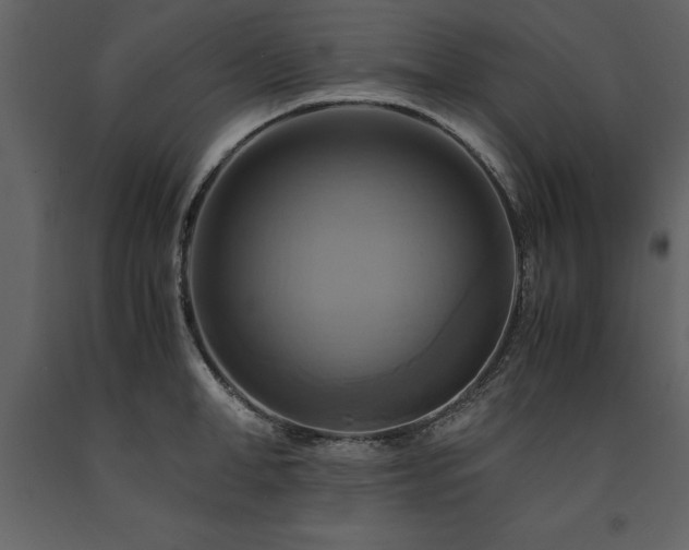 X0000091710998200708241242