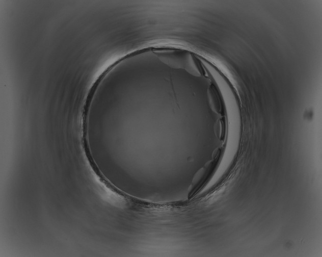X0000091710999200708241242