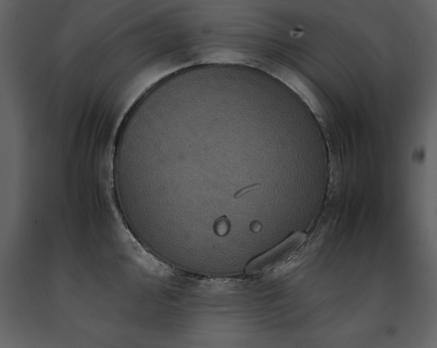 X0000091711000200708241242