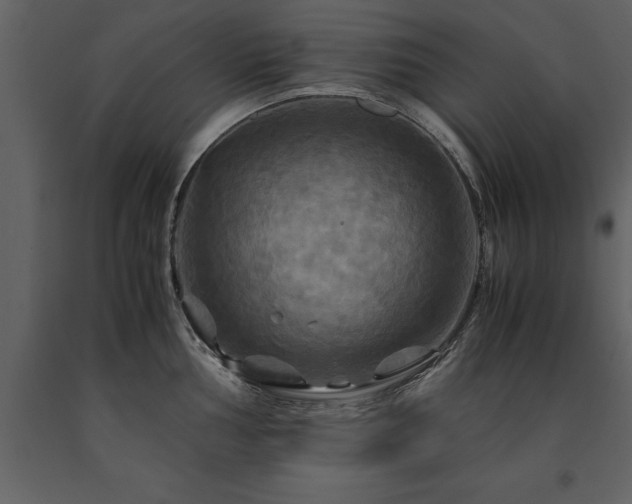X0000091711002200708241242