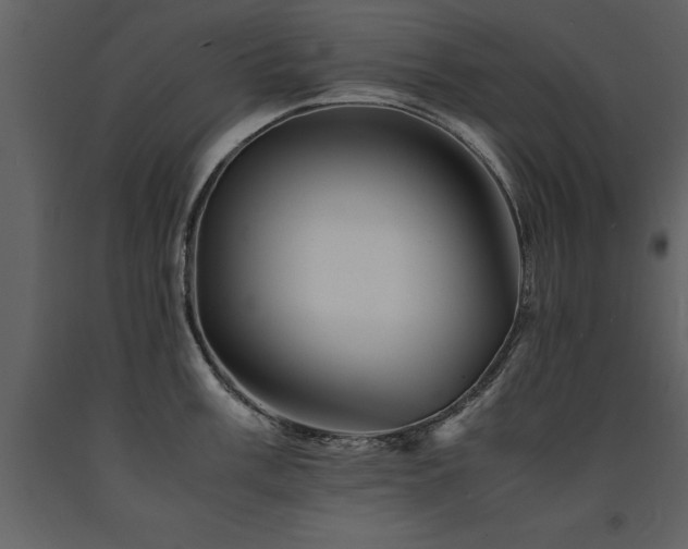 X0000091711003200708241242
