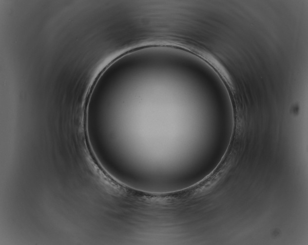 X0000091711004200708241242