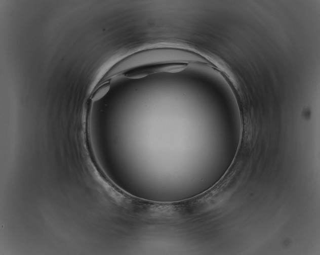 X0000091711006200708241242