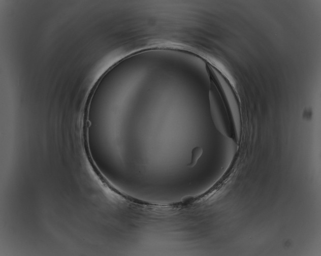 X0000091711007200708241242