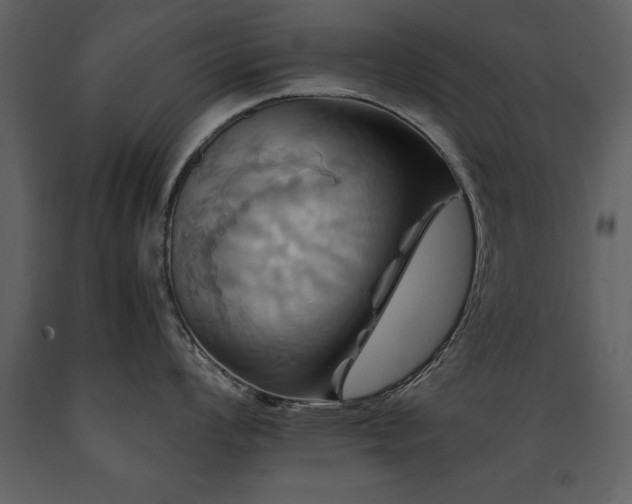 X0000091711008200708241242
