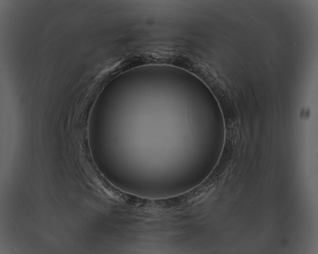 X0000091711009200708241241