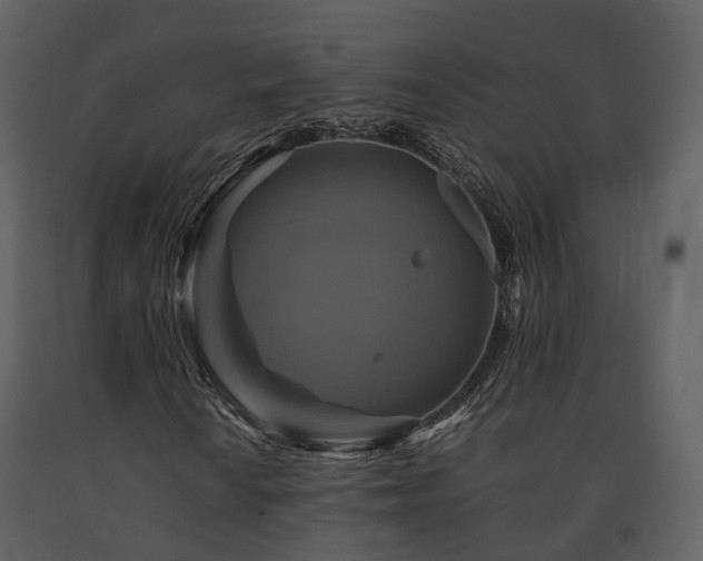X0000091711010200708241241