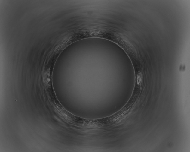 X0000091711011200708241241